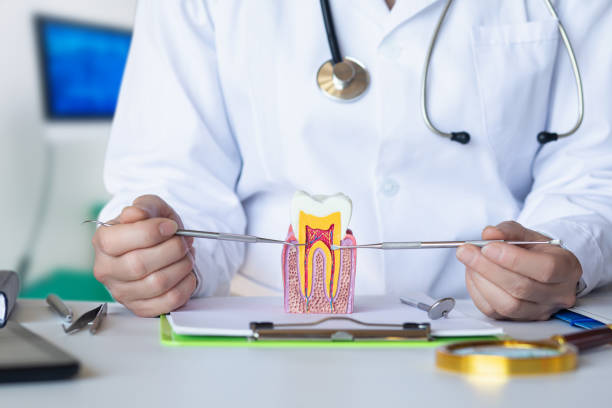 Best Mobile Emergency Dentist in Cordova, NC